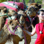 Aufmacher Marrakech Web