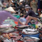COVER Vietnam Fish Market