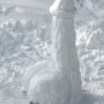penis